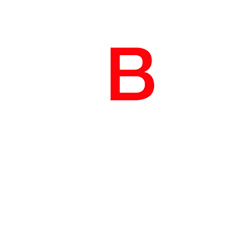 bootstrap4